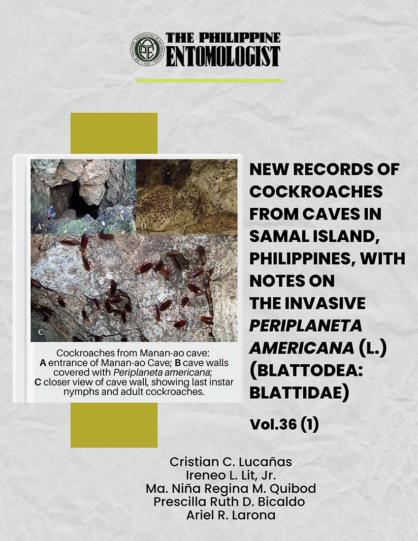 NEW RECORDS OF COCKROACHES FROM CAVES IN SAMAL ISLAND, PHILIPPINES, WITH NOTES ON THE INVASIVE PERIPLANETA AMERICANA (L.) (BLATTODEA: BLATTIDAE)